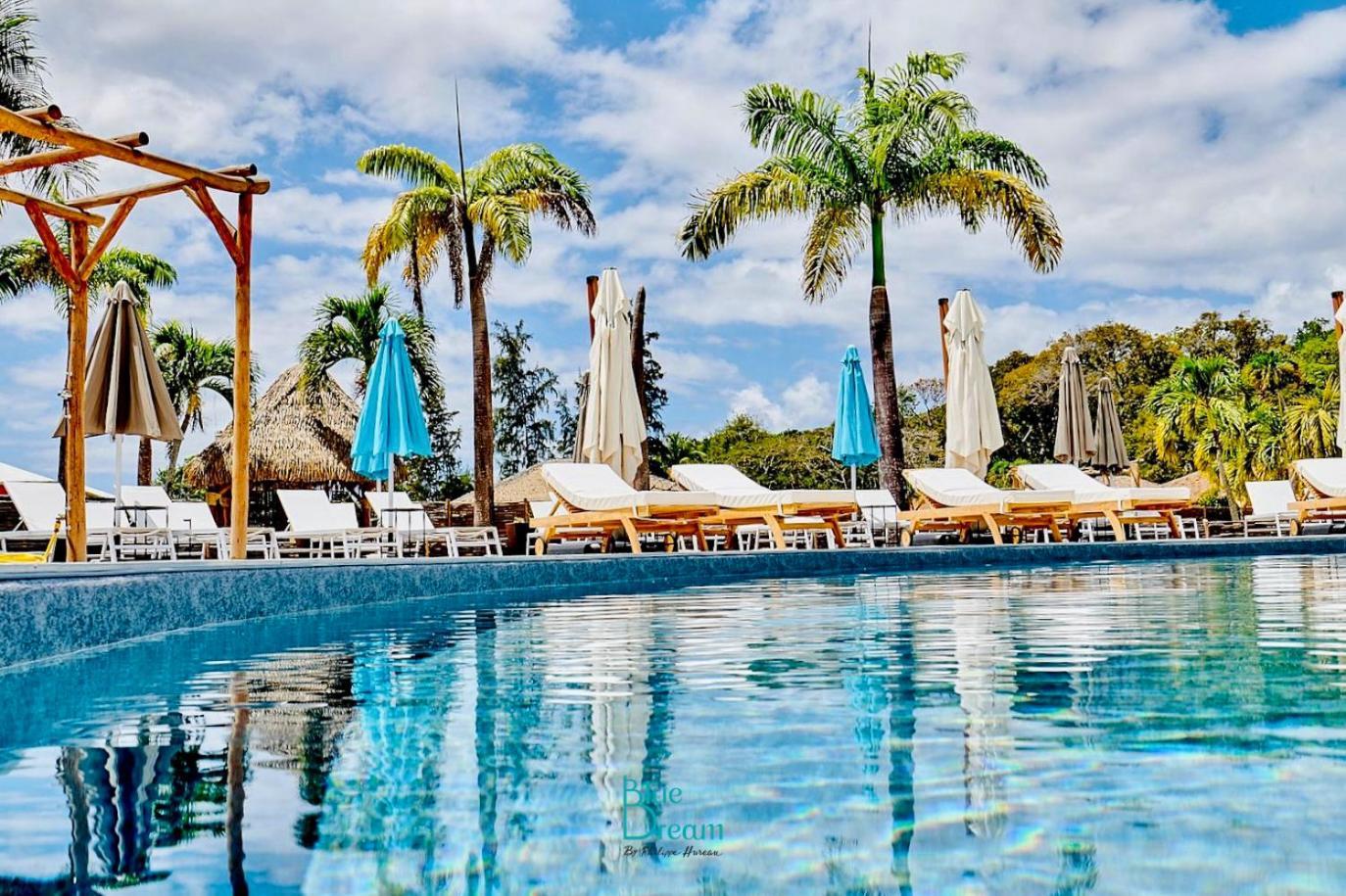 Kawan Nid -Studio Cosy A 200M De La Plage Avec Piscine Et Jardin Prive Pour Un Sejour Detente Au Coeur De Marie Galante Grand-Bourg (Marie Galante) Exteriör bild